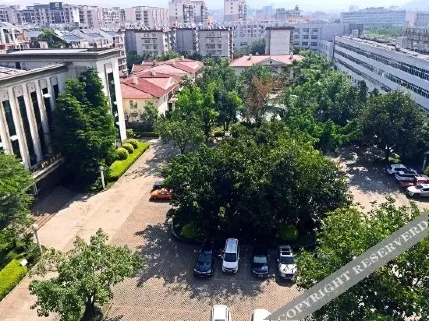 Shen An Di