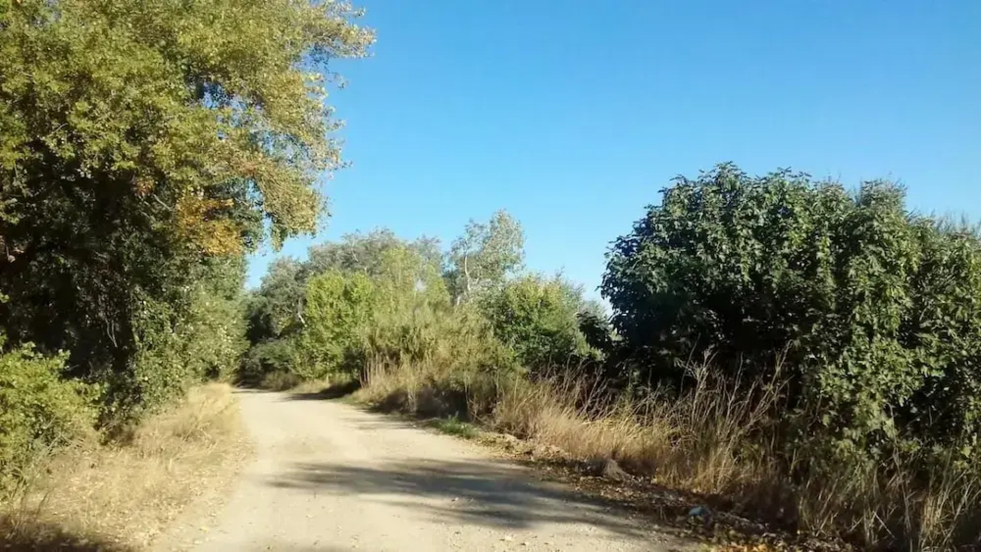 Rural House Near Zaragoza