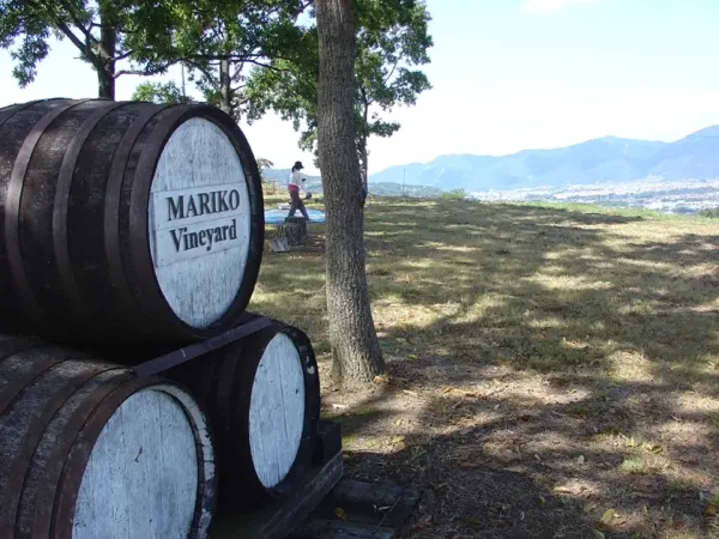 Kakeyu Onsen Tsuruya Ryokan