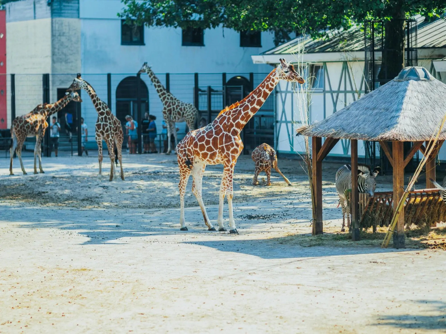 Amsterdam Budget Inn Youth Guesthouse