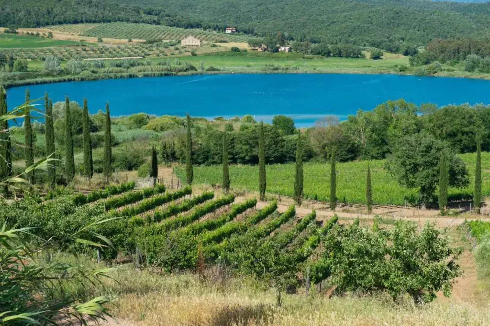 Tenuta La Tabaccaia