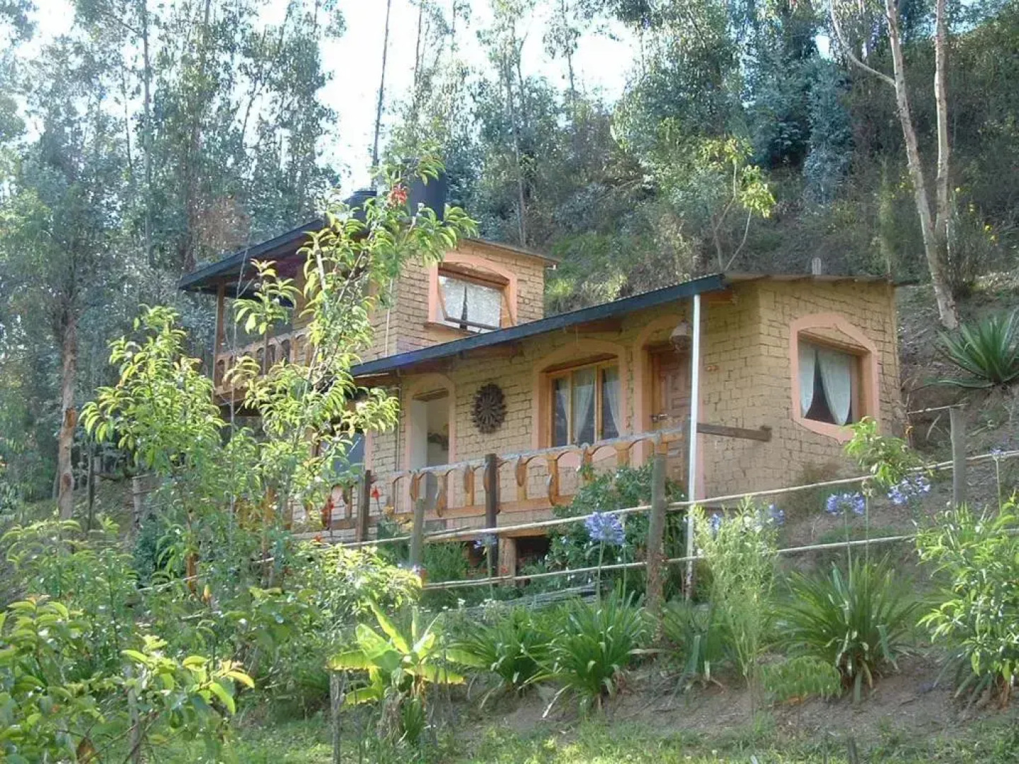 Altai Oasis Eco lodge