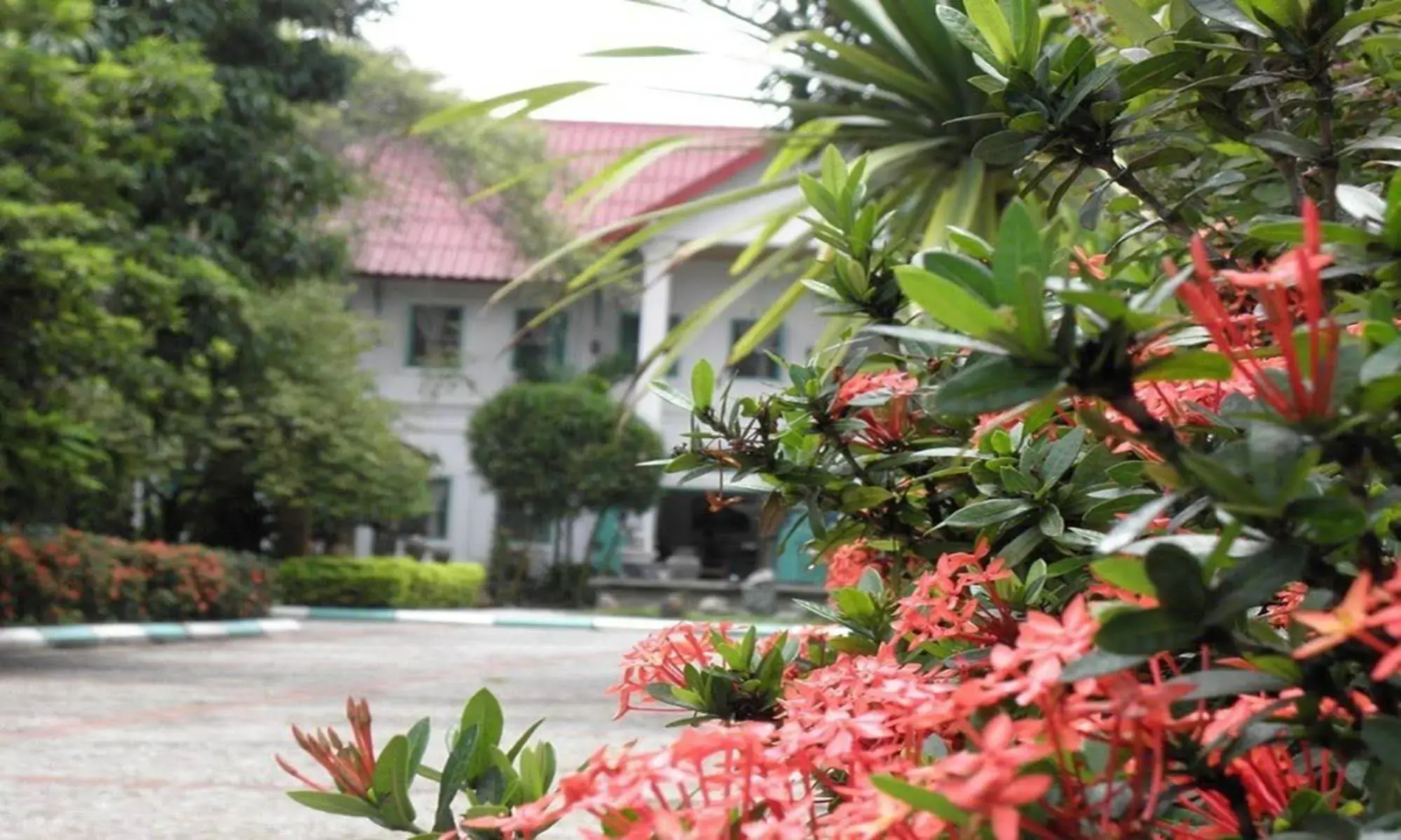 Sabaidee Guesthouse