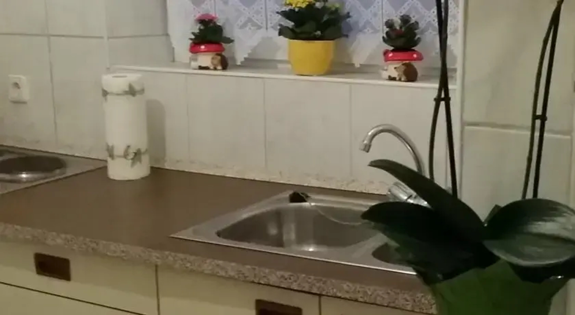 Sweet Home by Bodensee