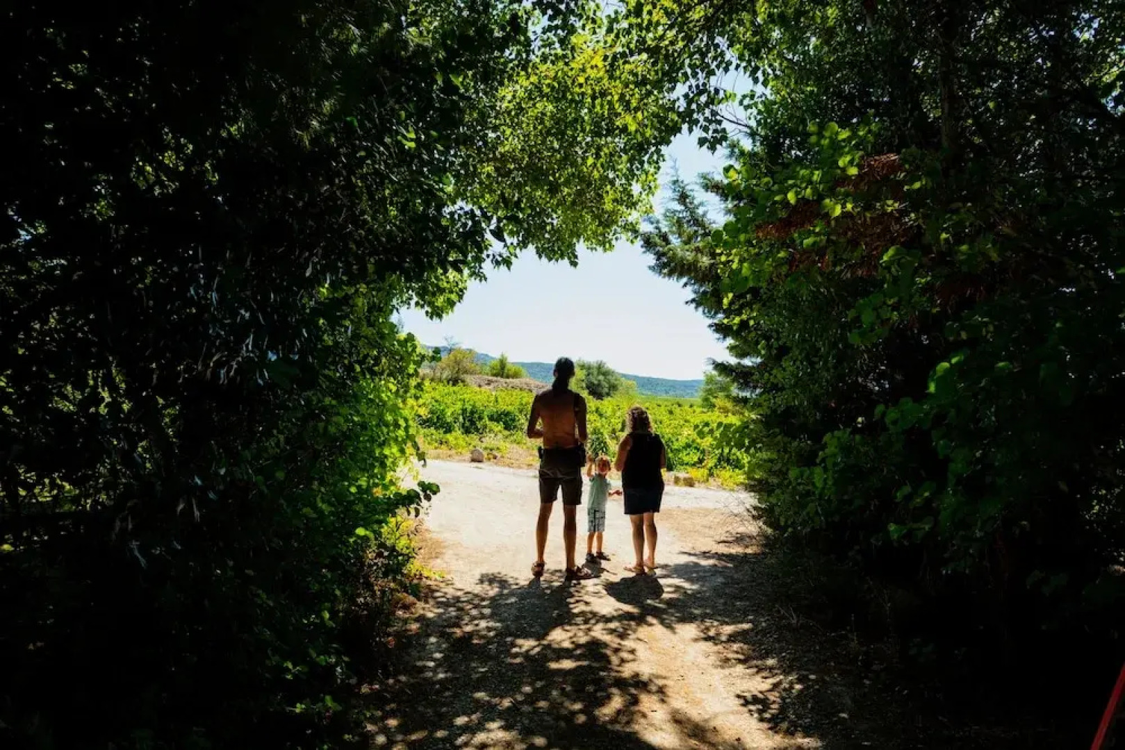 Lodge en Pays Cathare