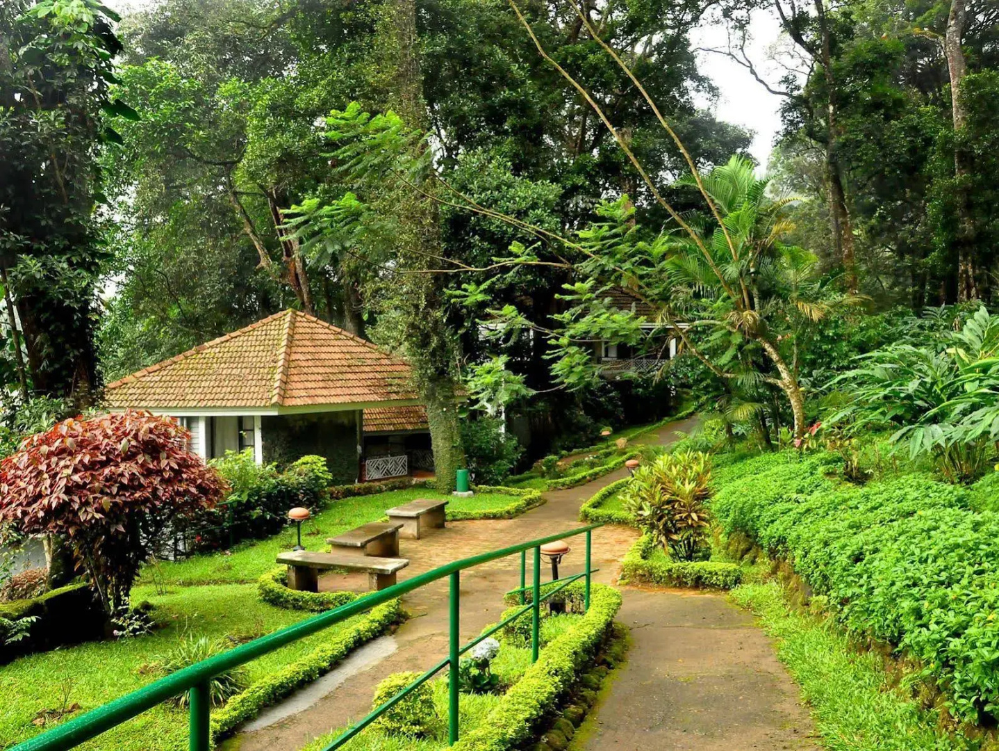 The Tall Trees Munnar