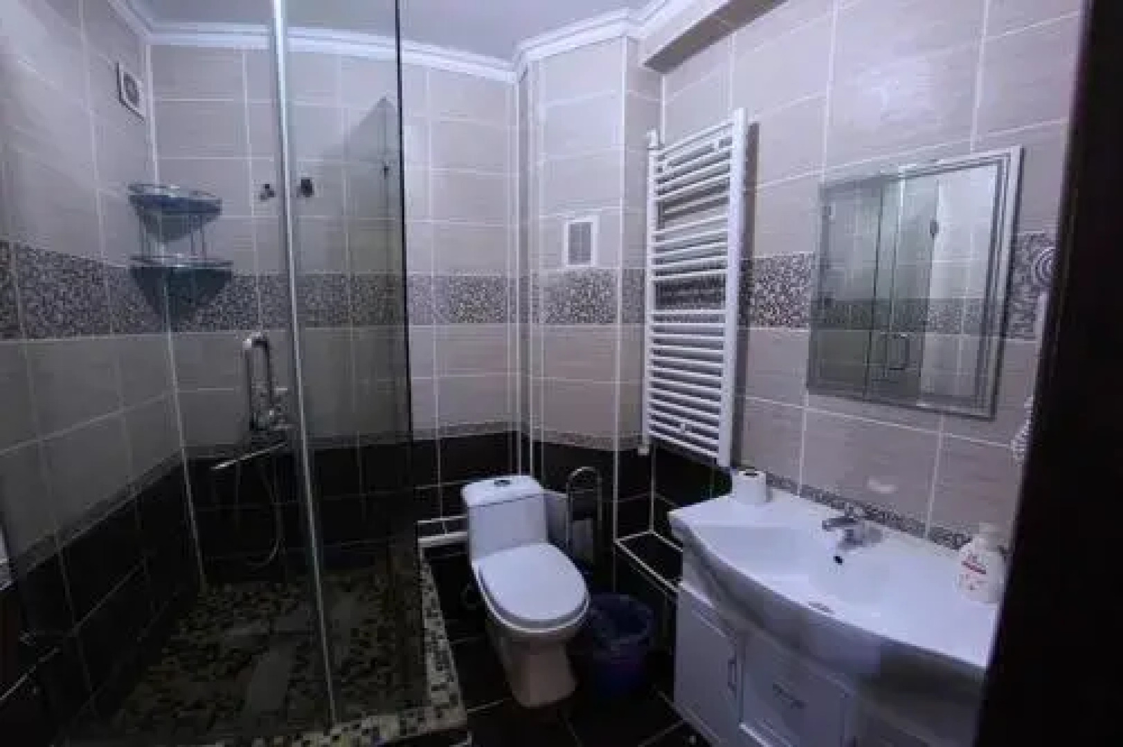 Apartments on Shevchenko 129