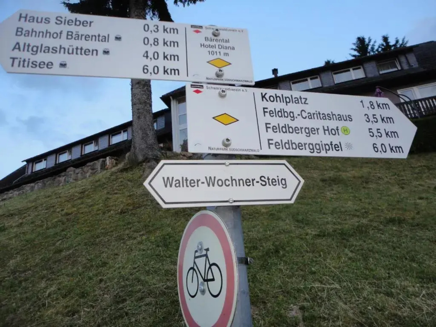 Hotel Diana Feldberg