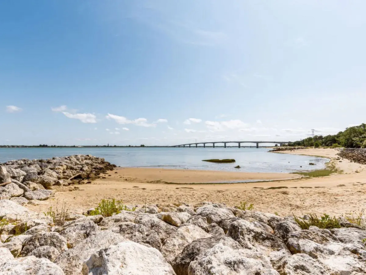 Les Narcisses (RBL200)