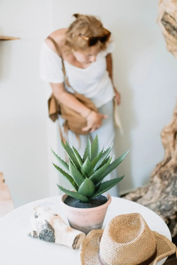 Socrates Organic Village - Wild Olive