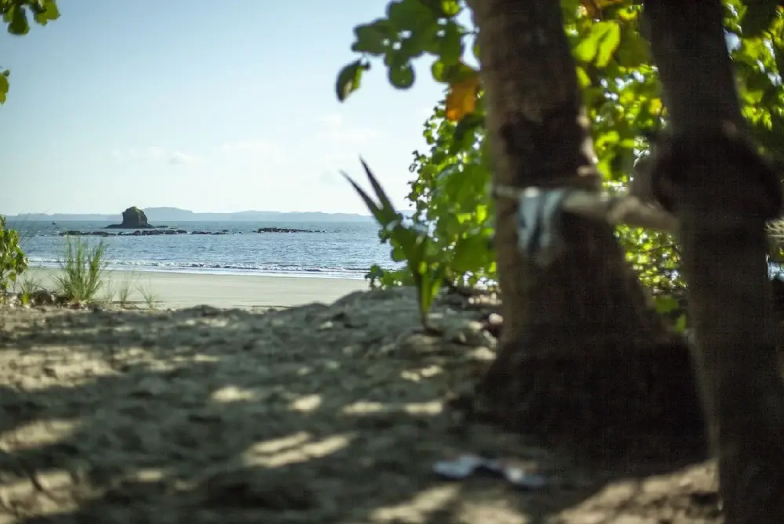 Isla Palenque Member of the Cayuga Collection