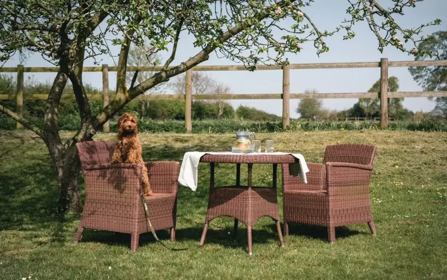 Stables and Coach House