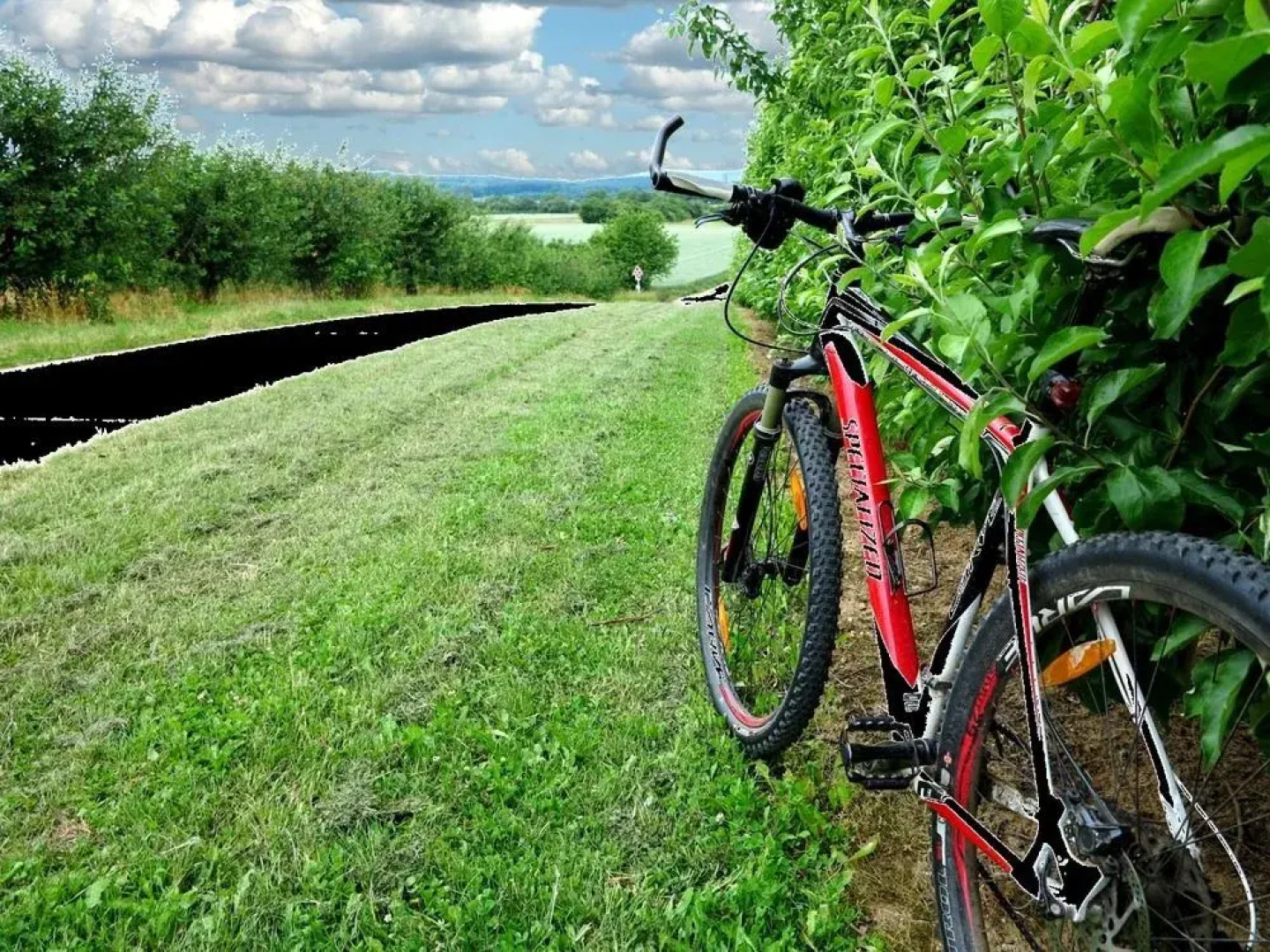 Villa Orchard Frankfurt