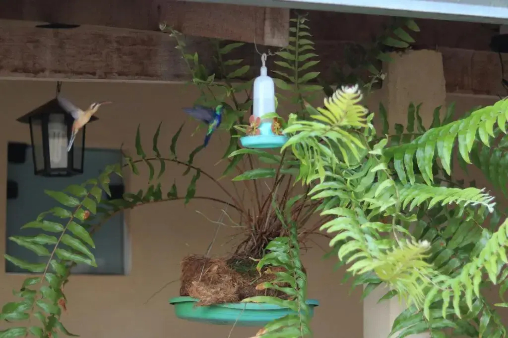 Pousada Serra Da Canastra