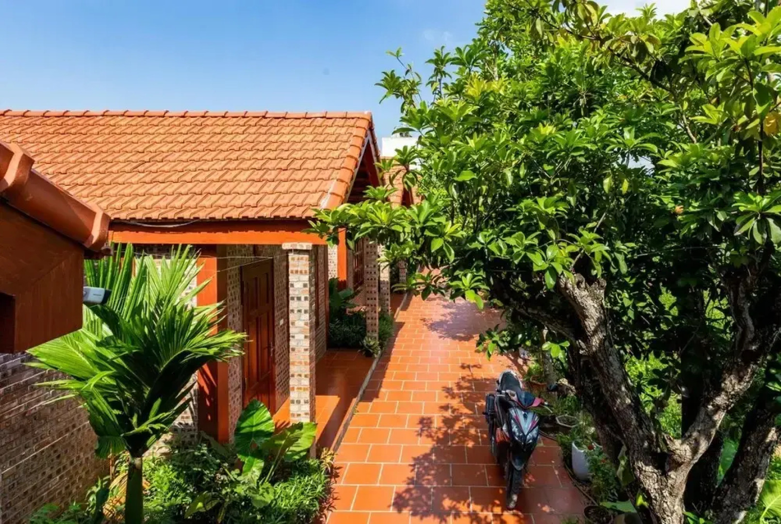 Bai Dinh Eco Homestay