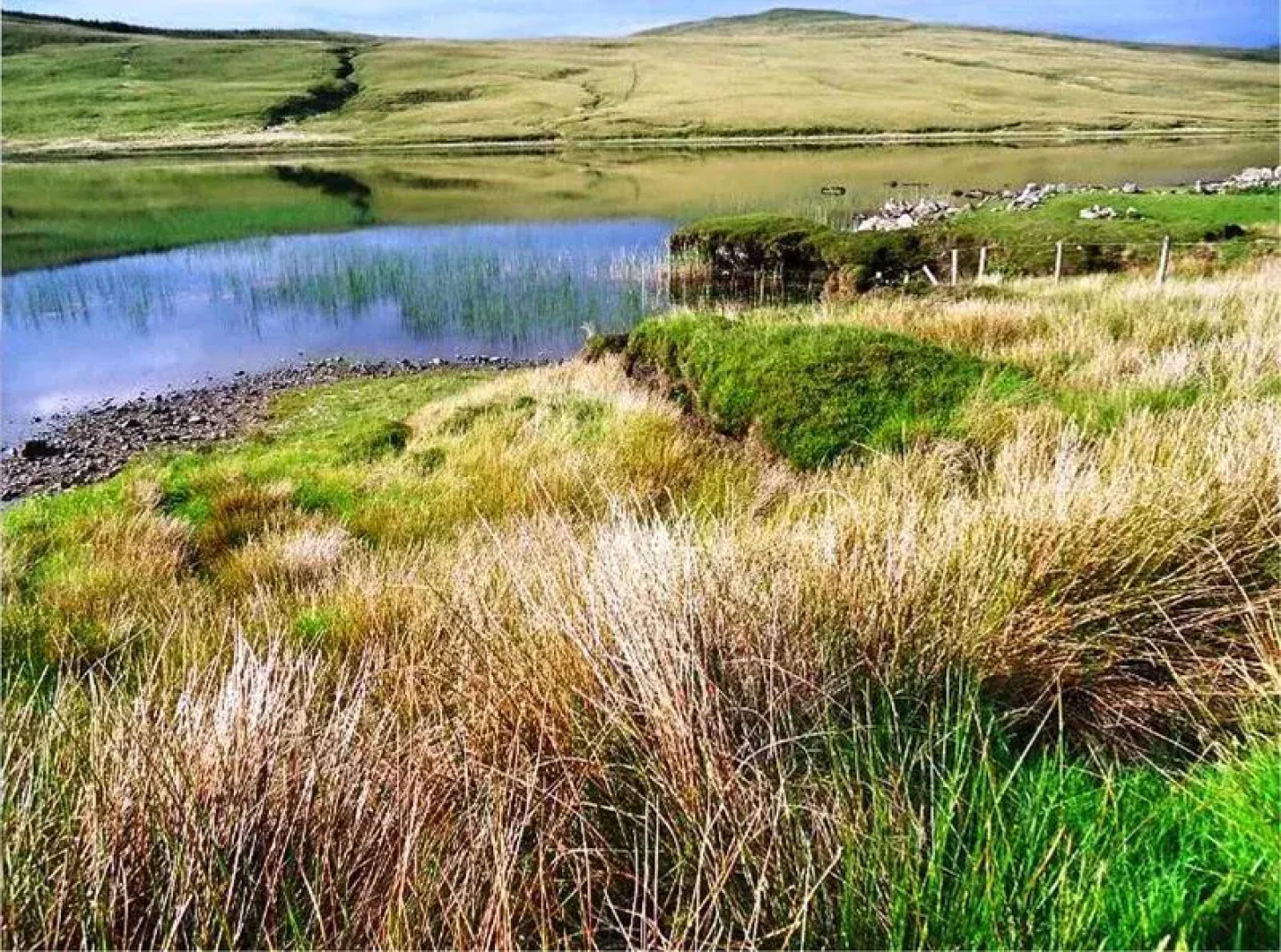 Heather Lodge Country House