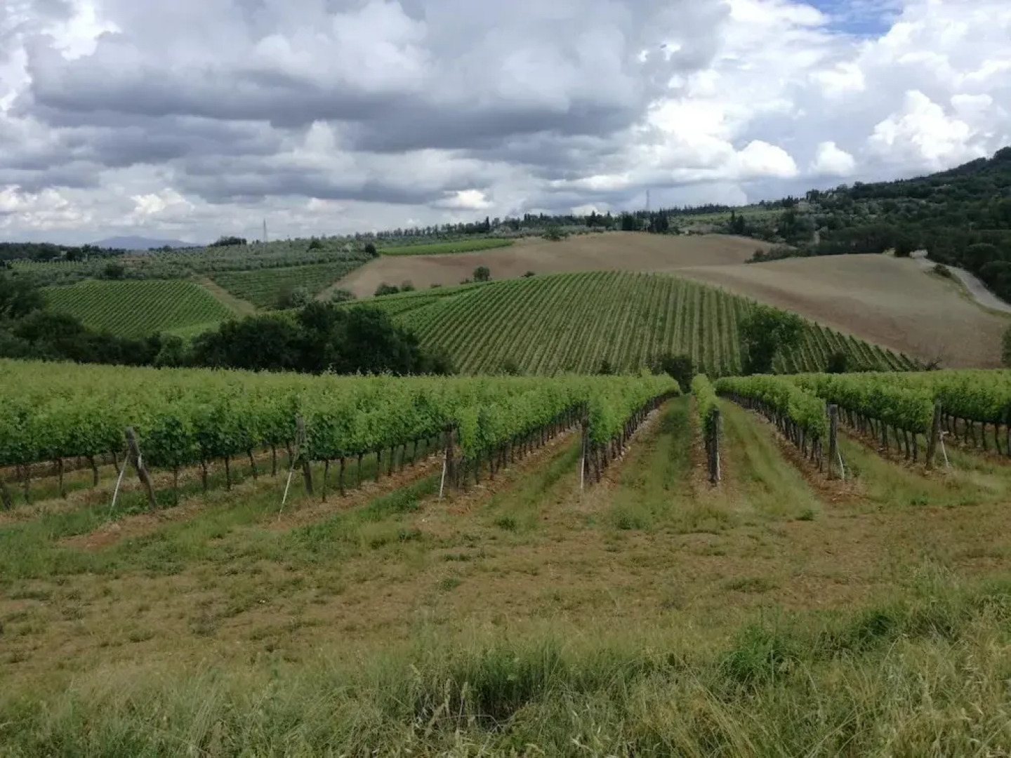 Agriturismo Podere La Cava
