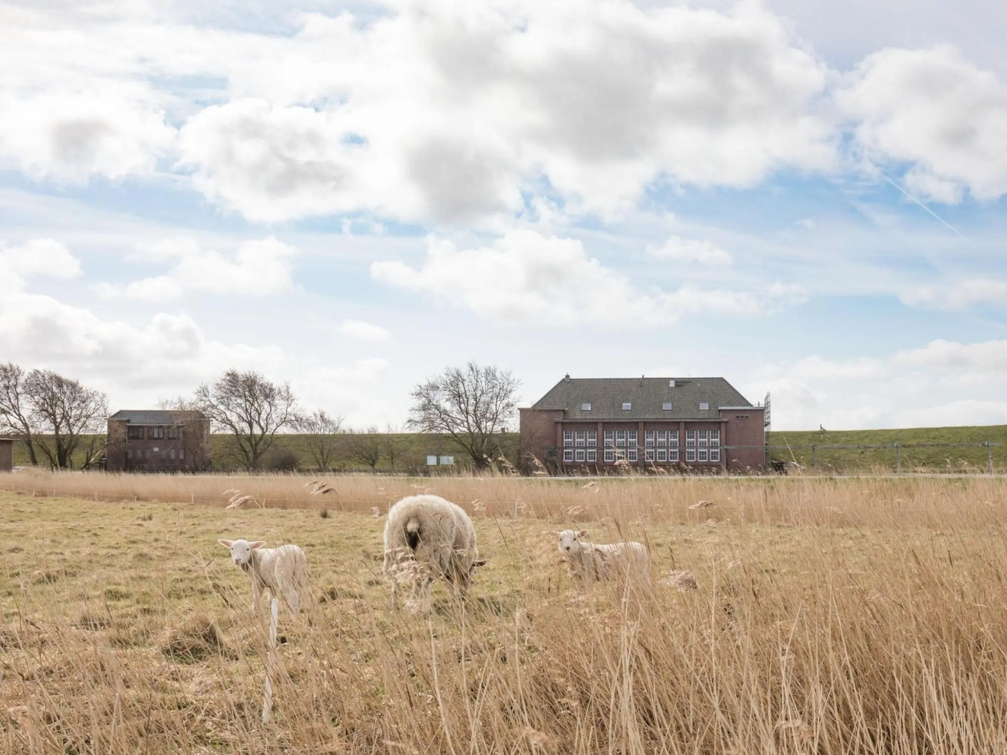 exclusive holiday apartment on the dike at the North Sea