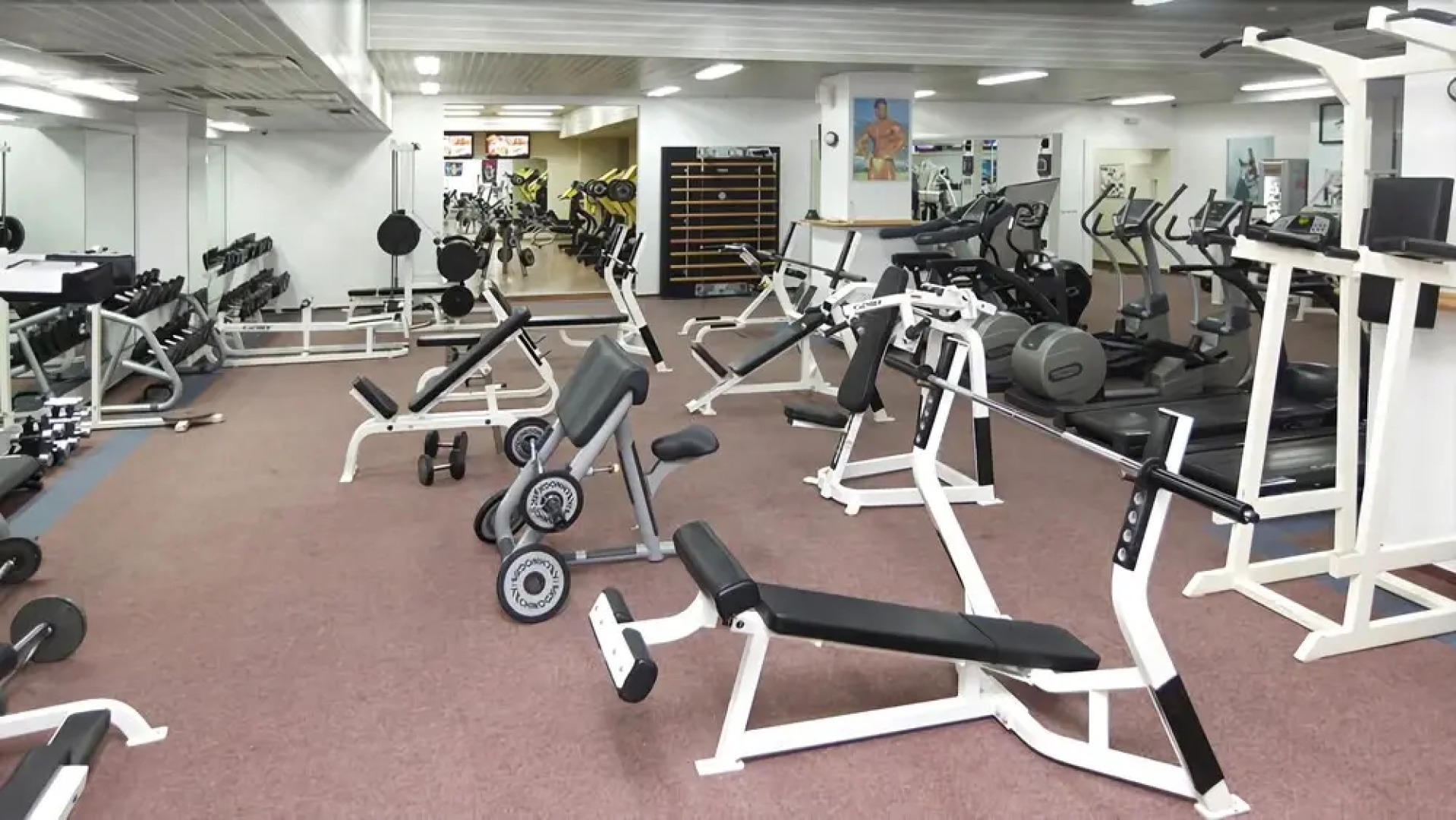 Отель Aleksandar Palace