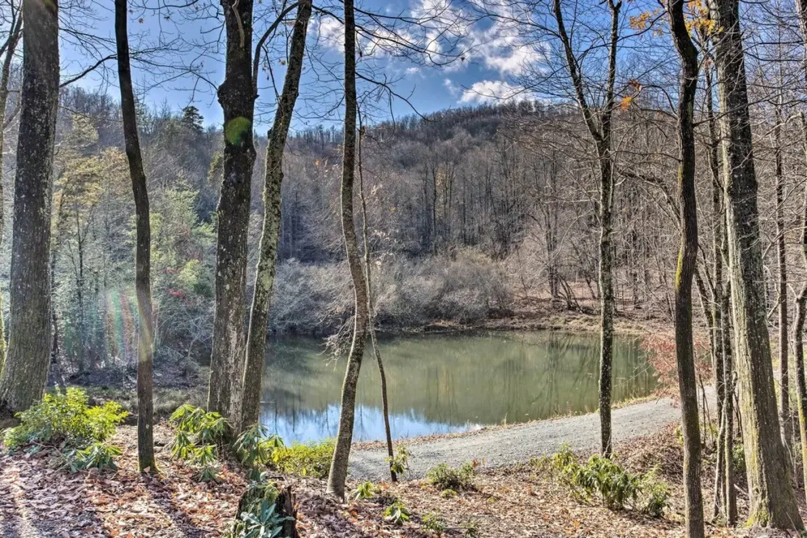 Secluded Black Mountain Cabin w/ On-site Pond!