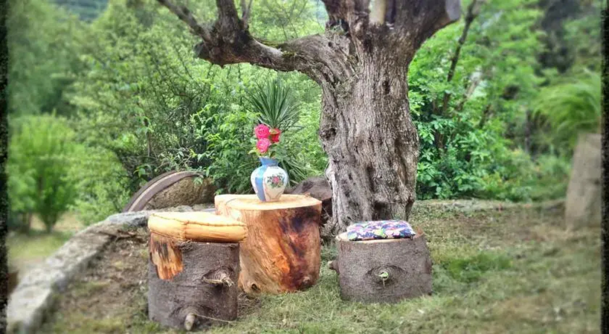 Holiday Home Borda del Vinyer