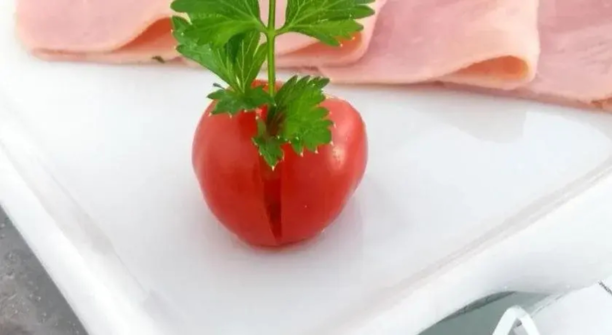 Vision Hotel Boutique