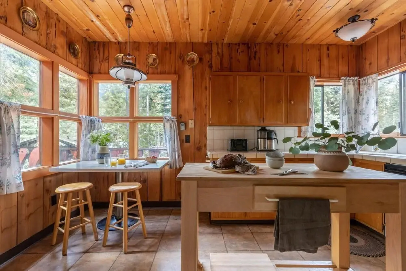 Pineland Criterion 66 -