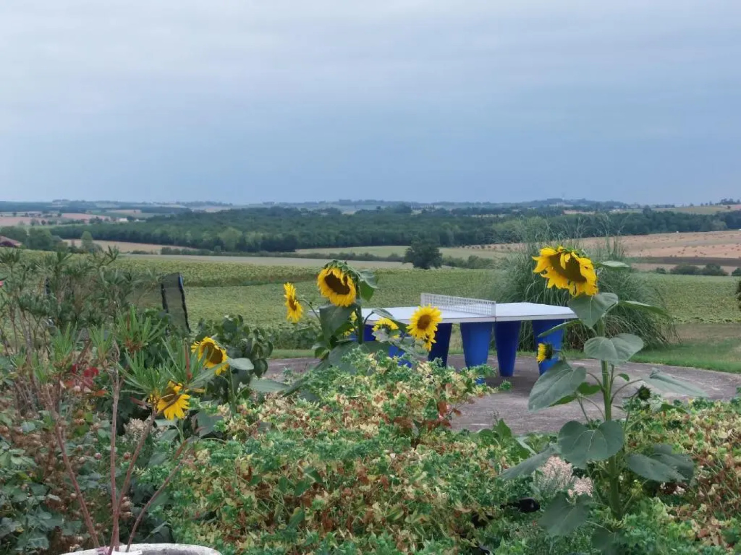 Domaine des Cadets de Gascogne