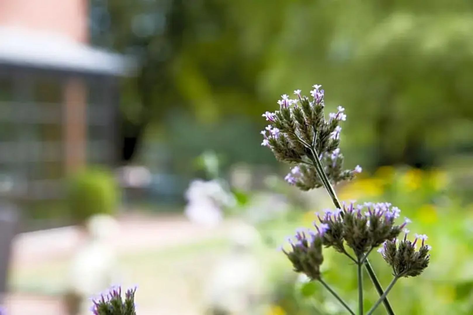 Hotel Restaurant Piärdestall Hövelhof