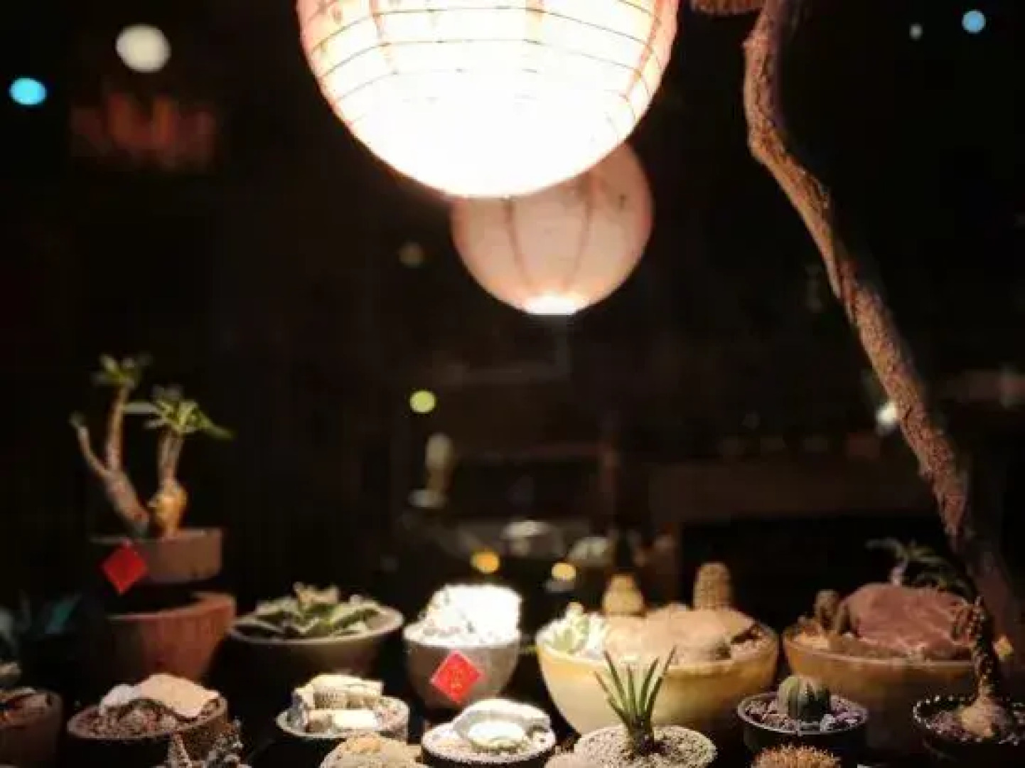 Changxing Sunmu Hometown Su