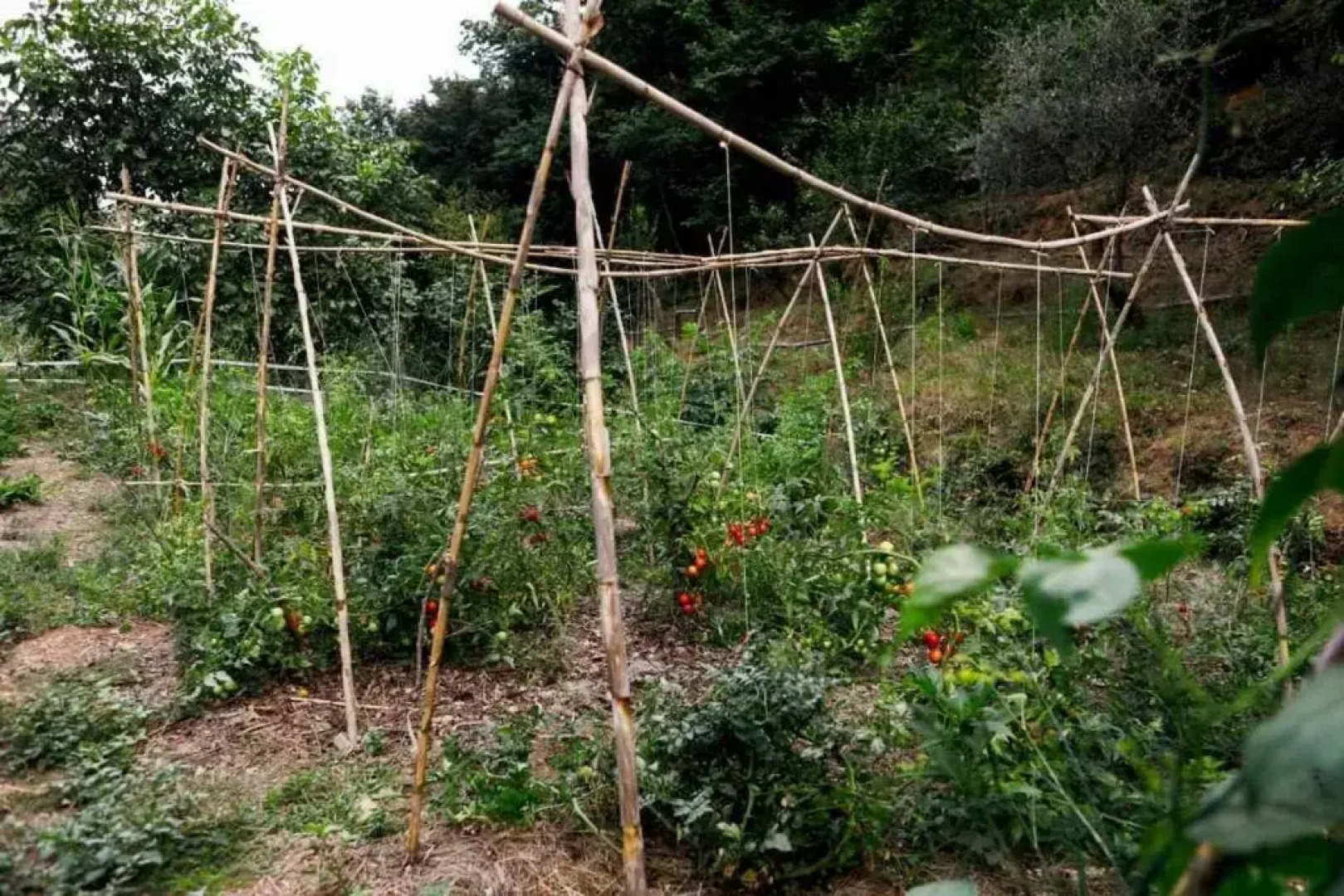 LEremo Rifugio escursionistico 10 minutes steep walk