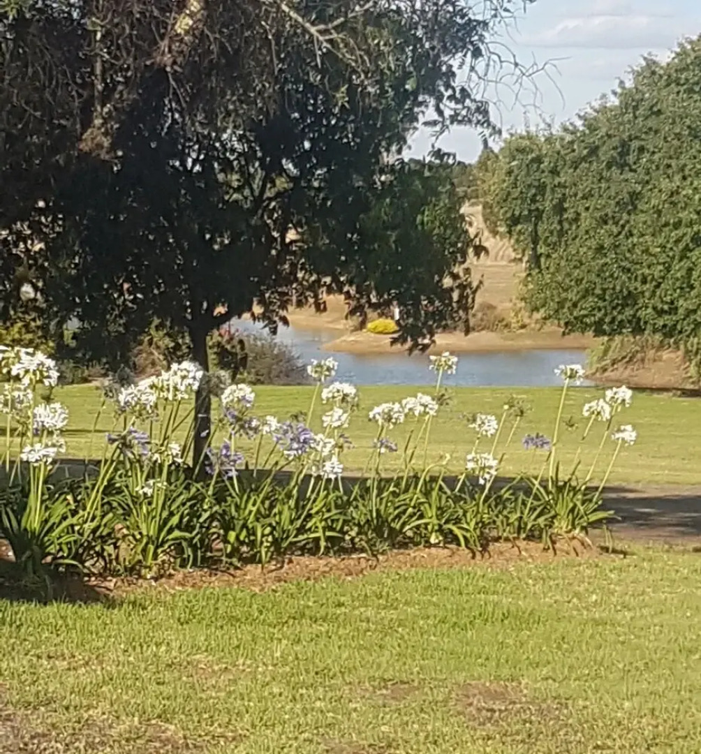 Redtail Ridge Cottages - Adults Only