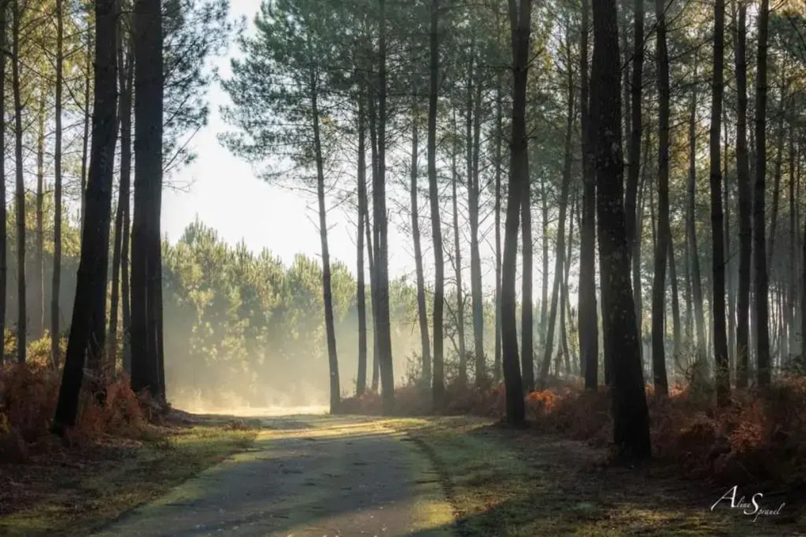 Les Bord'Océanes Sauna & Spa **** Villa Marensine et Villa Oyat