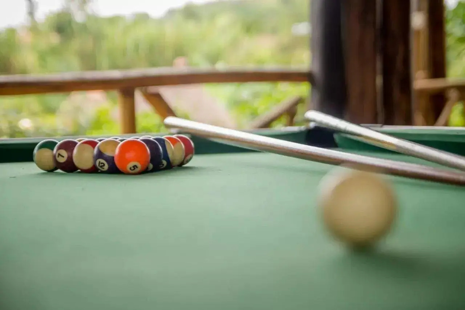 Roots Retreat and Camping Resort