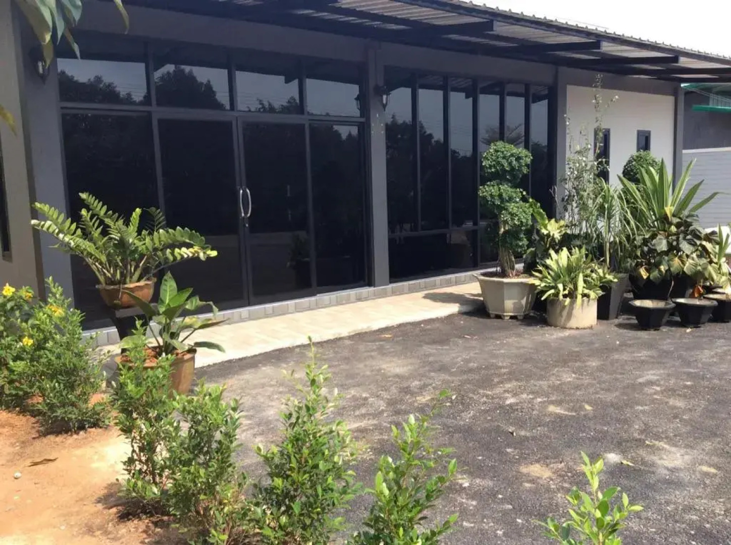 Wilderness Mountain View