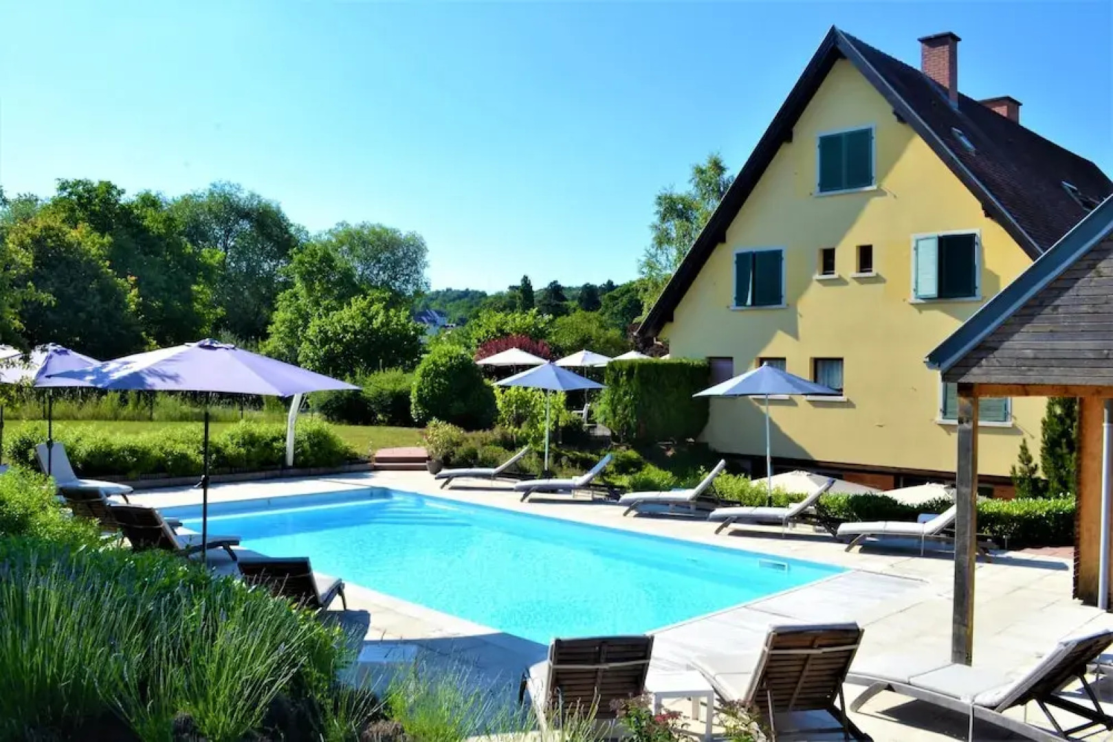 Aux Chants Des Oiseaux