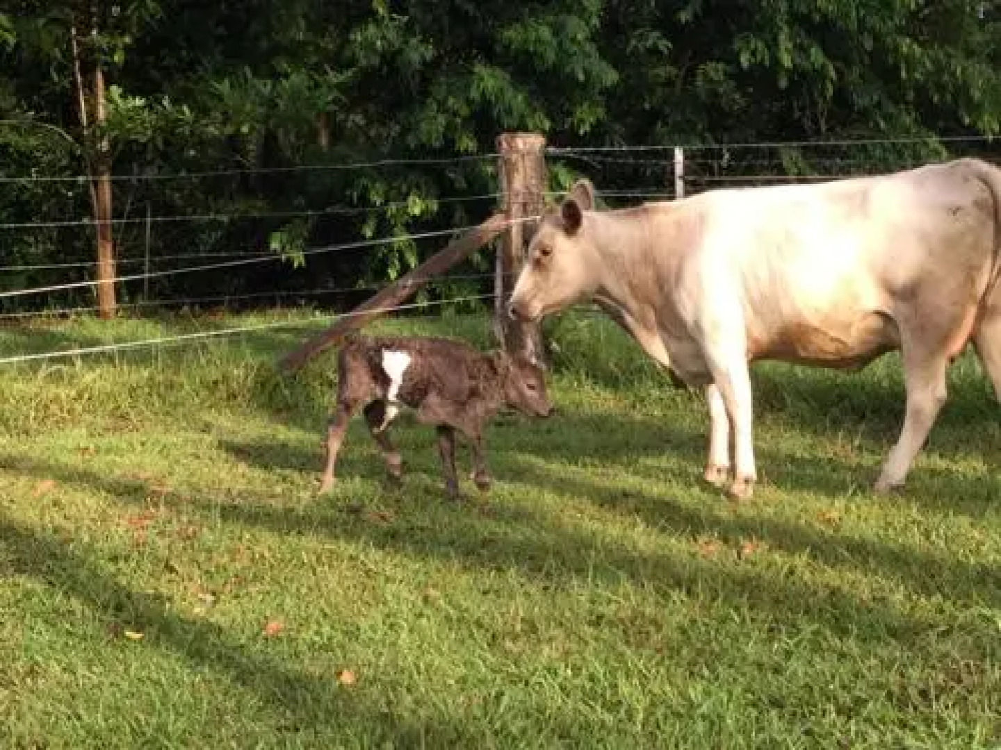 The Croft Bed and Breakfast