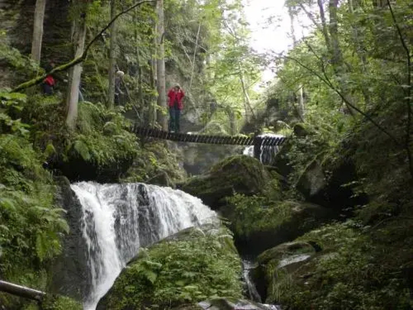Stadtnahe Landwohnung