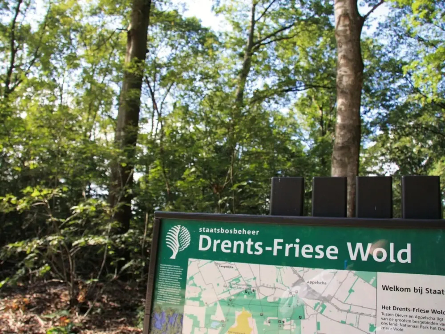 Restyled House with Fire Place near Drents-Friese Wold