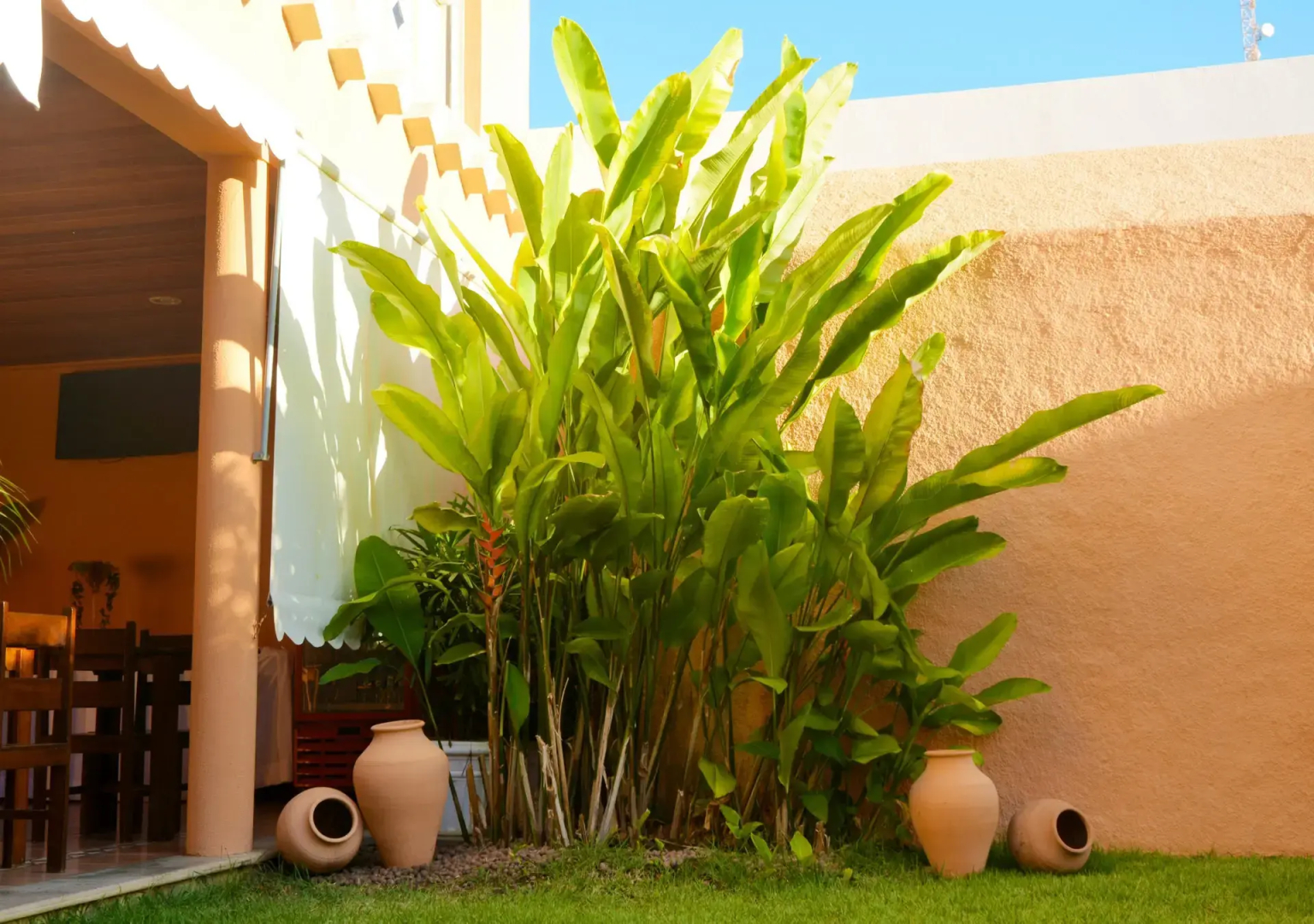 Hotel Terra do Sol