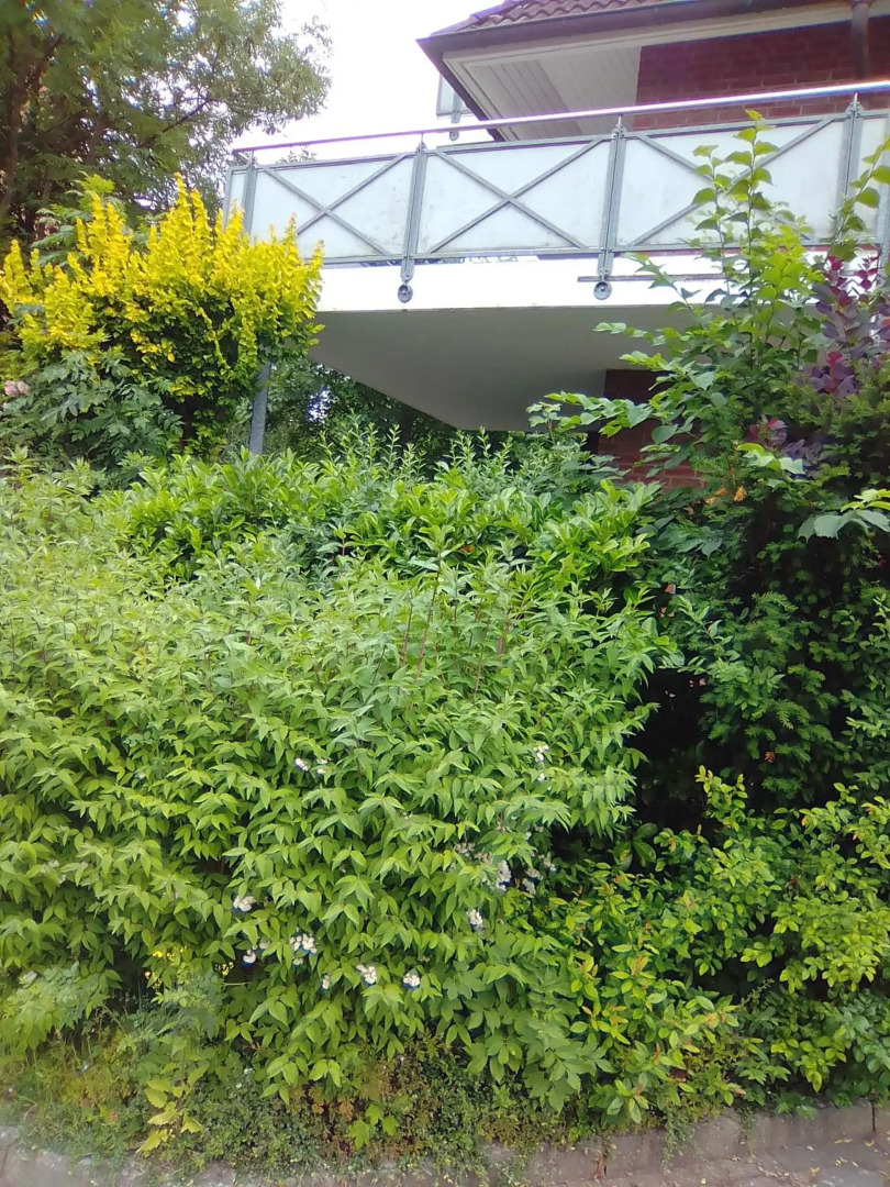 Raben Steinfeld Forststraße 3 Residenzpark