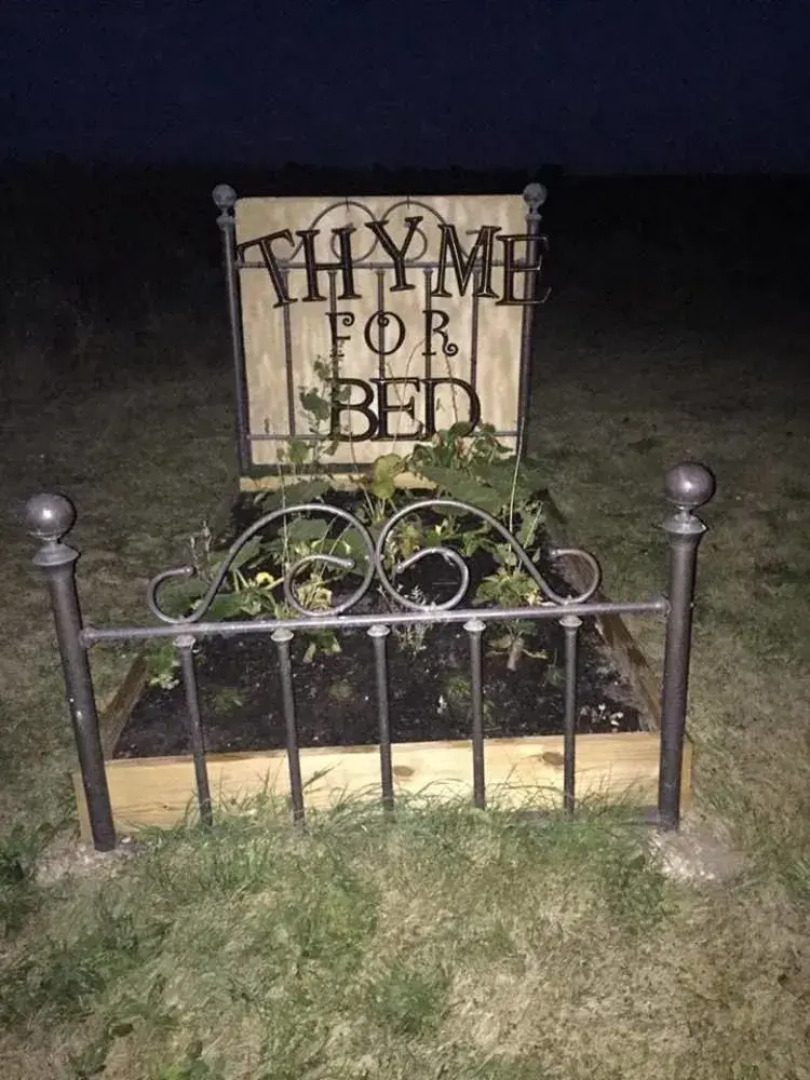 Thyme For Bed Dome