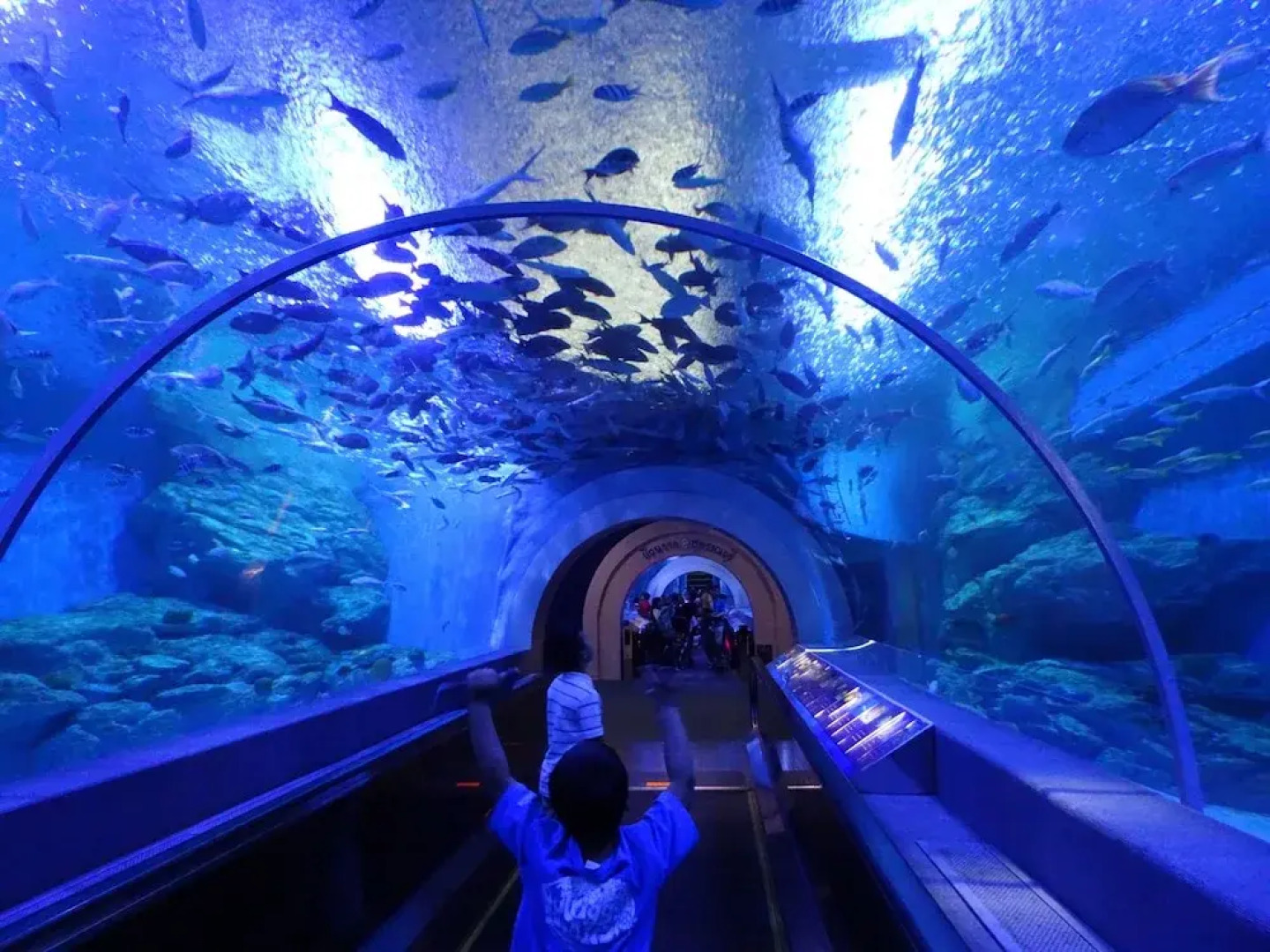 Happy Hamlets Resort