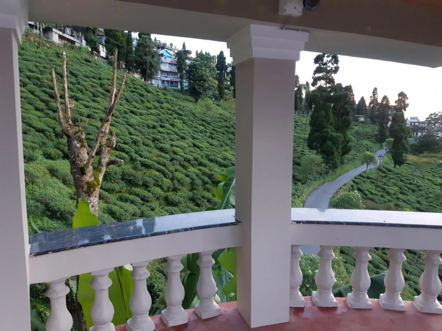 Traditional Homestay