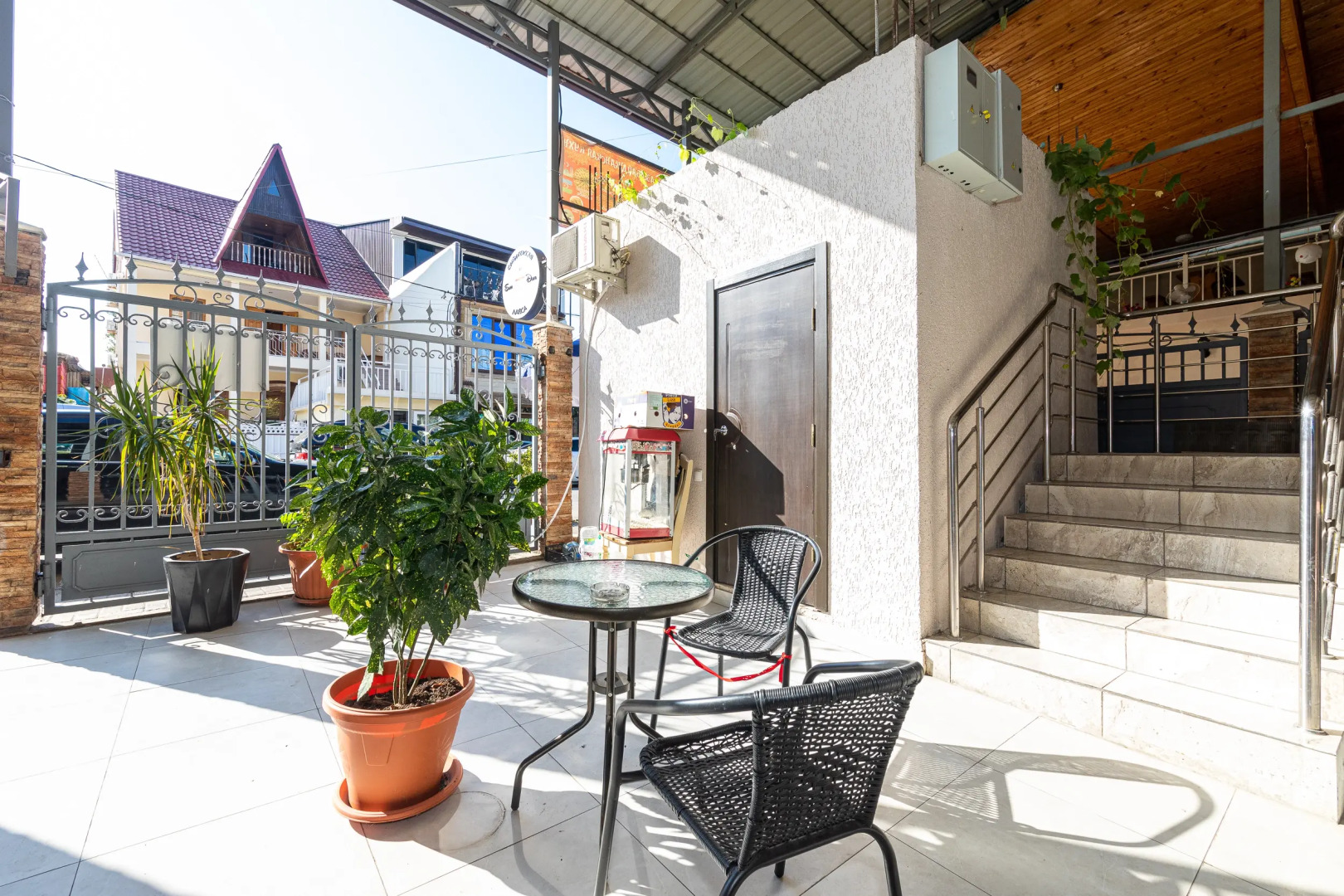 Невские звезды