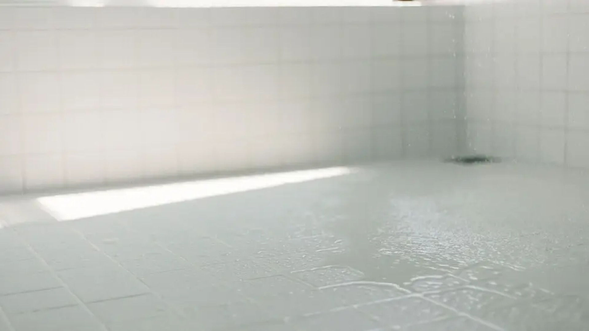 Blue Steak Wonder Senaha