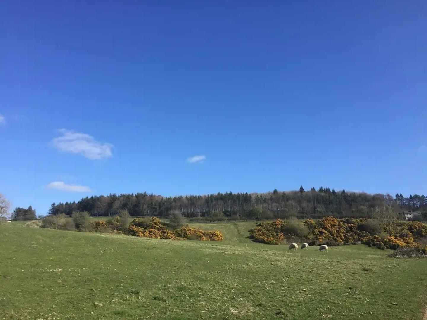 Jura @ Westcote Glamping