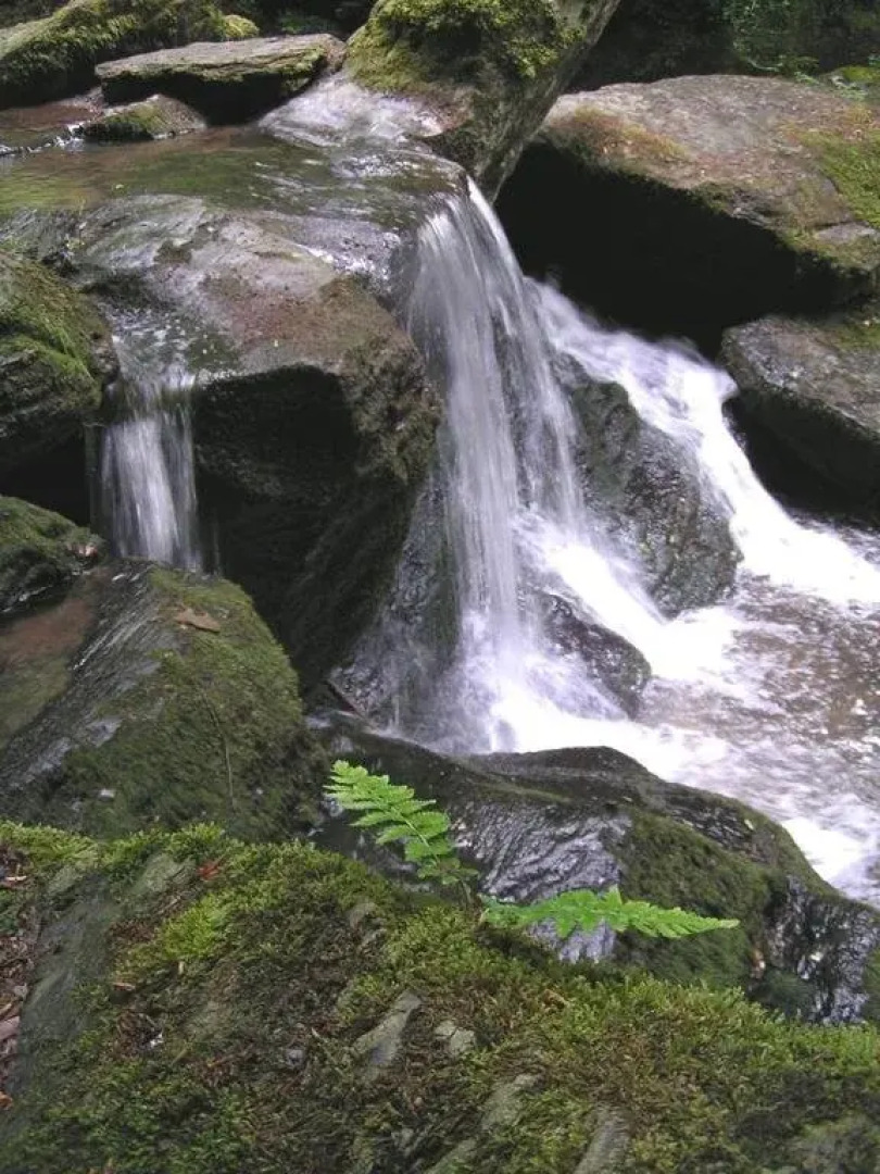 Hotel Schmausemühle