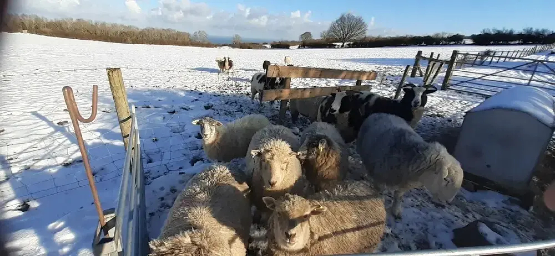 Henblas Holiday Cottage