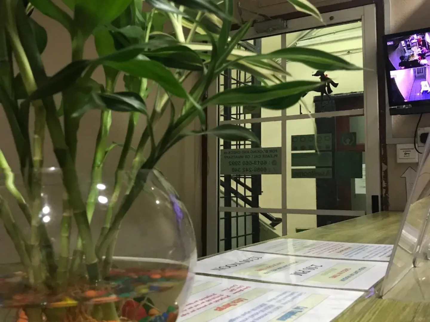 Iskandar Sinsuran Homestay